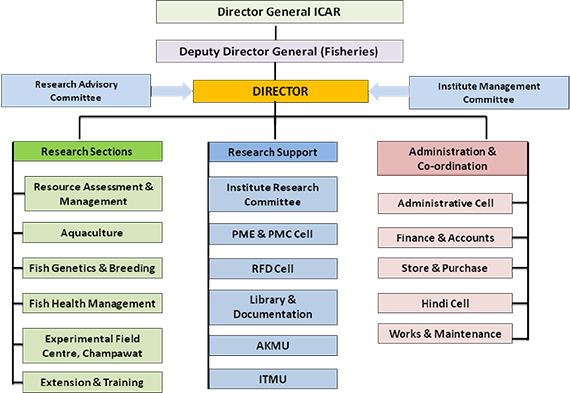 Directorate of Coldwater Fisheries Research